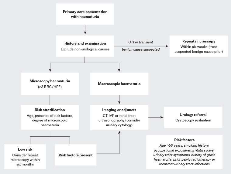 Figure 1. Algorithm for initial investigations and management of haematuria