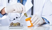 Exploring access to medicinal cannabis through general practitioners in Australia